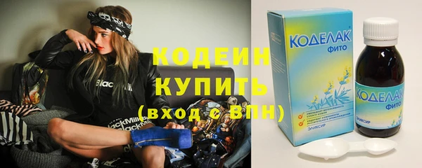 молекула духа Ладушкин