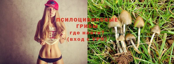 не бодяженный Лабытнанги