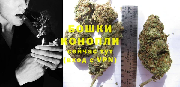 молекула духа Ладушкин