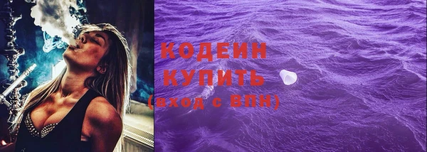 молекула духа Ладушкин