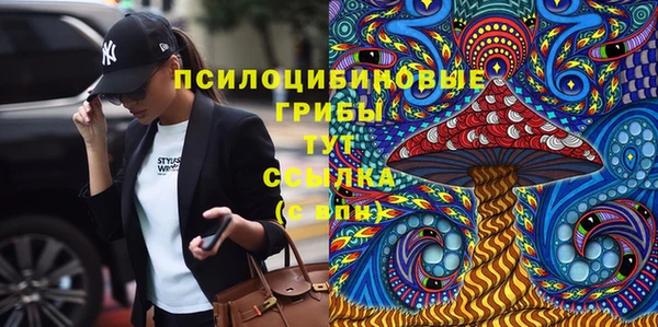 не бодяженный Лабытнанги